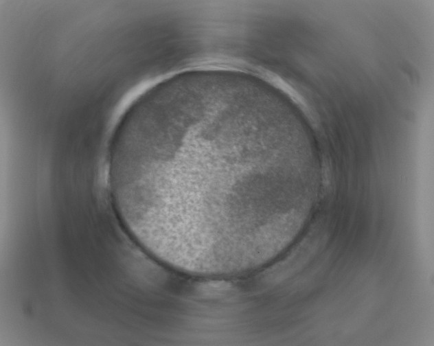 X0000113881462200910221345