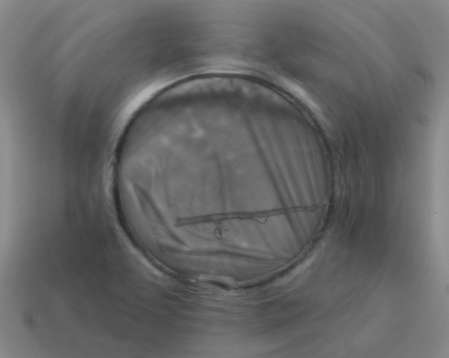 X0000113881463200910221345