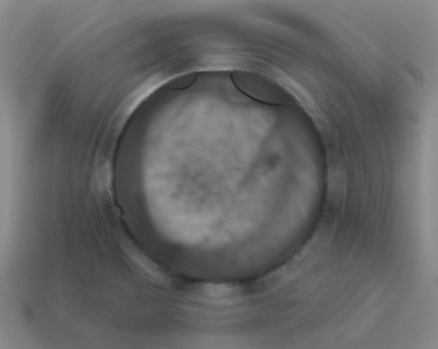 X0000113881465200910221345