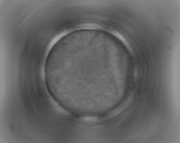 X0000113881466200910221345