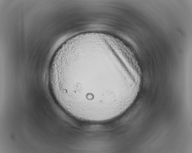 X0000113881467200910221345