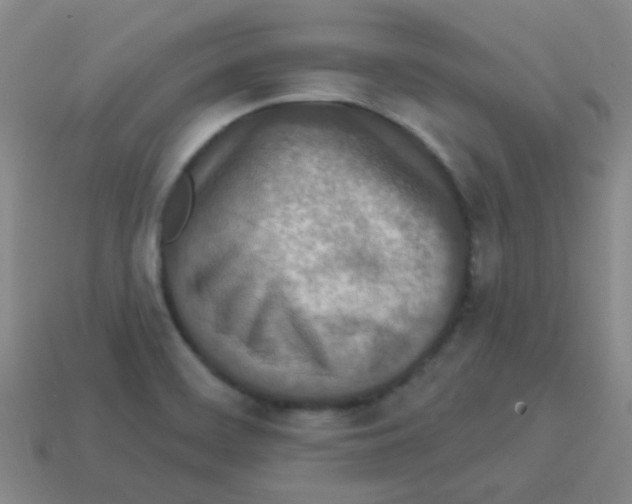 X0000113881468200910221345