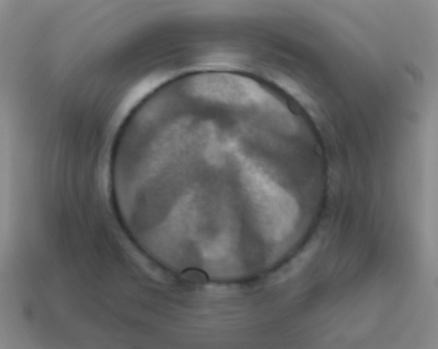 X0000113881469200910221345