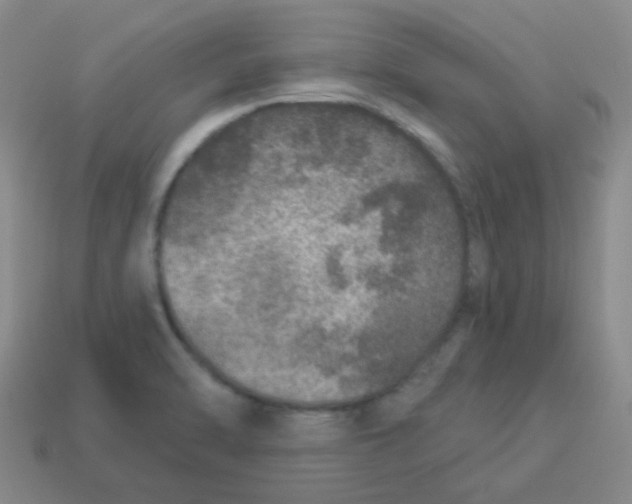 X0000113881470200910221345