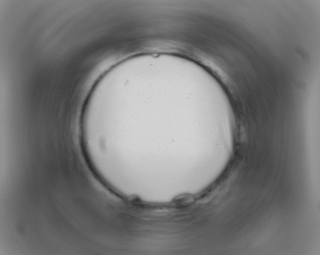 X0000113881471200910221345