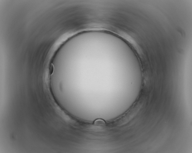 X0000113881472200910221345