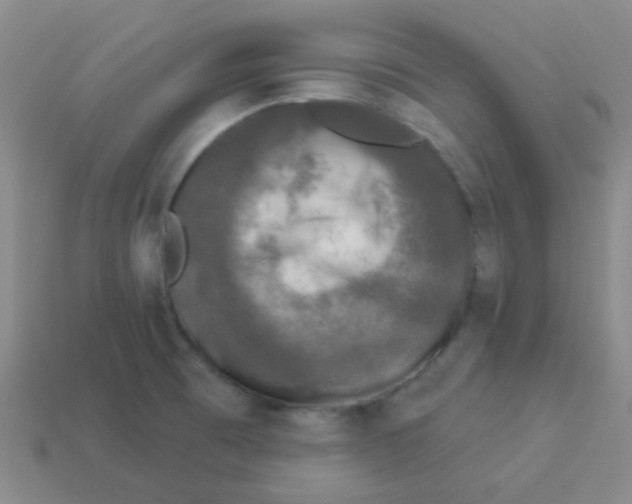 X0000113881473200910221345