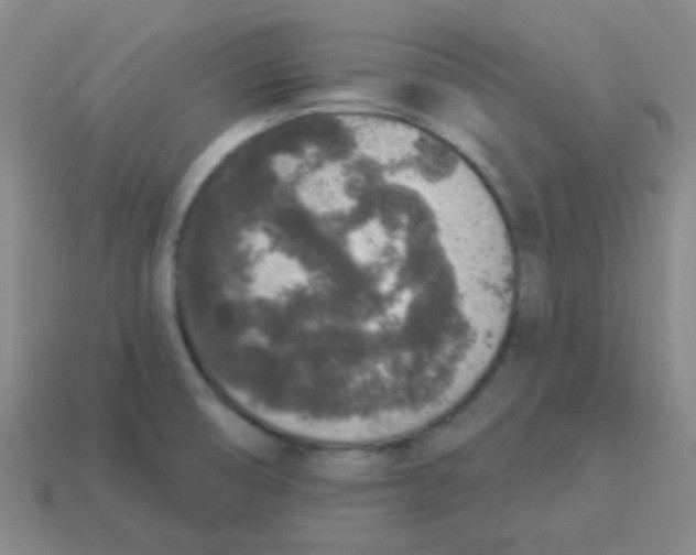 X0000113881474200910221345