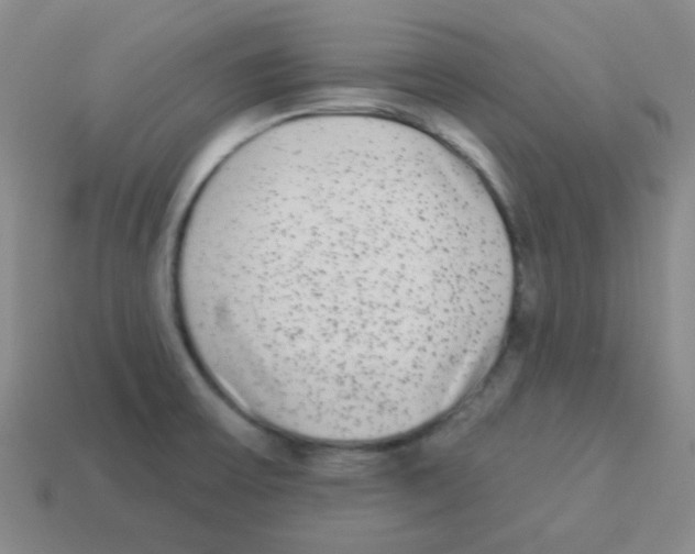 X0000113881475200910221345