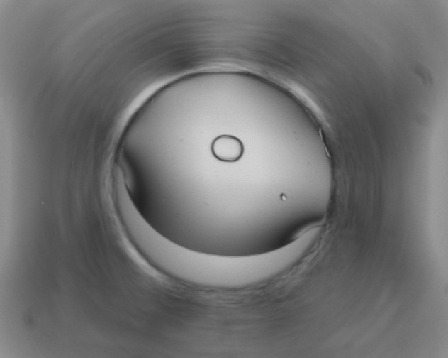 X0000113881476200910221345