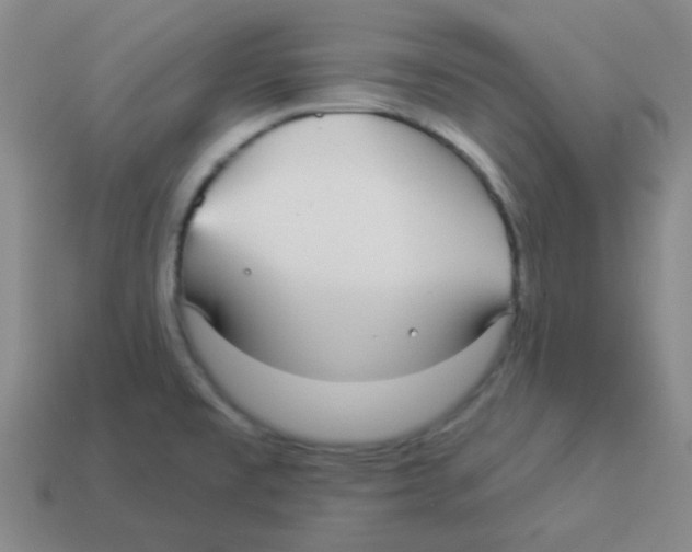 X0000113881477200910221345