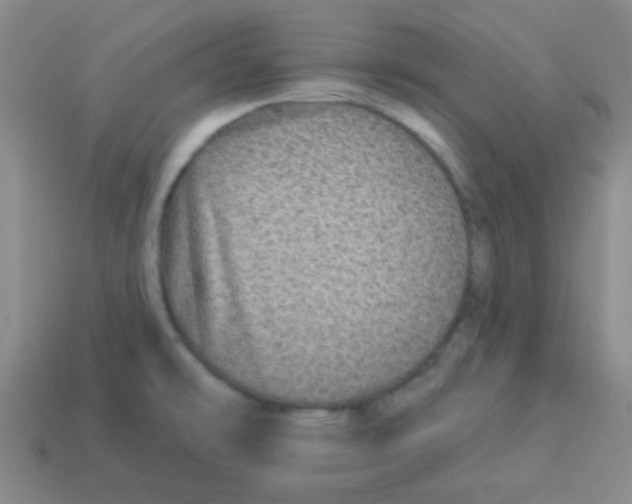 X0000113881478200910221345