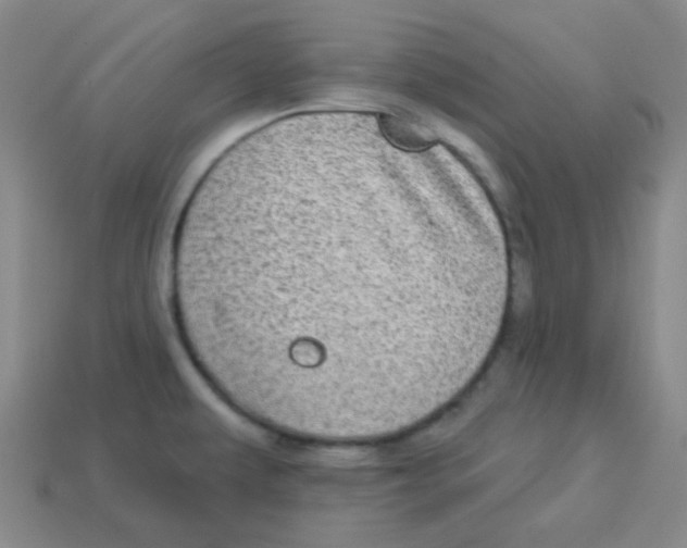 X0000113881479200910221345