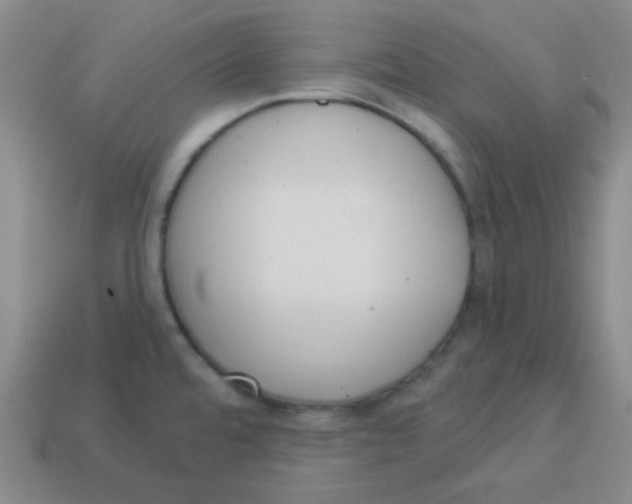 X0000113881480200910221345