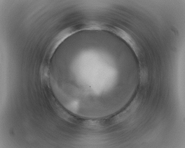 X0000113881481200910221345