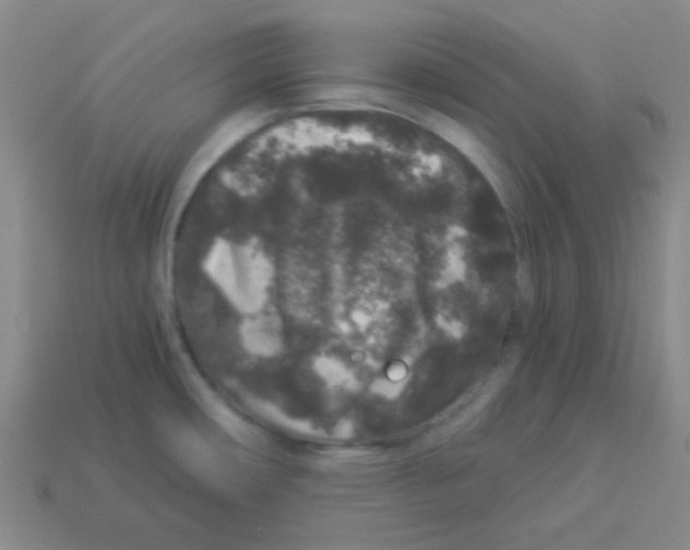 X0000113881482200910221345