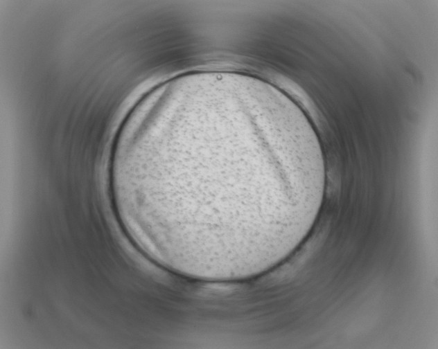 X0000113881483200910221345