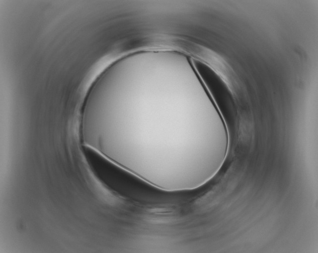 X0000113881484200910221345