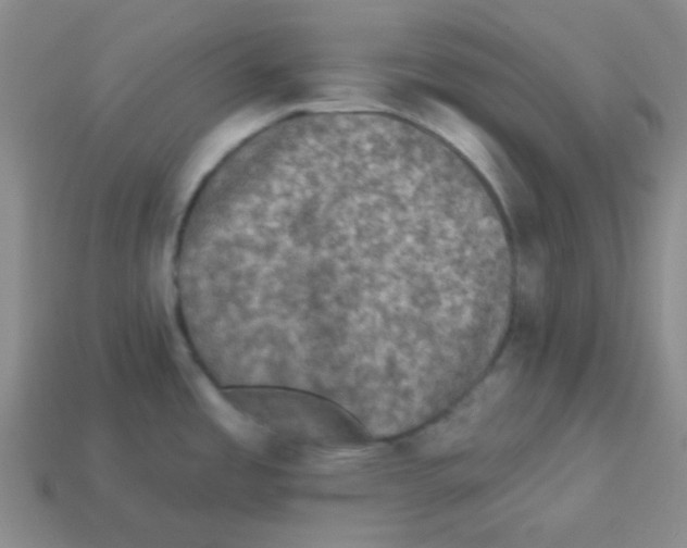 X0000113881485200910221345