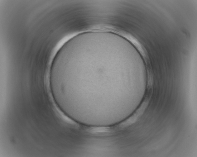 X0000113881486200910221345