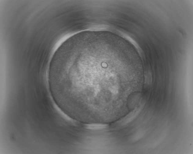 X0000113881487200910221345