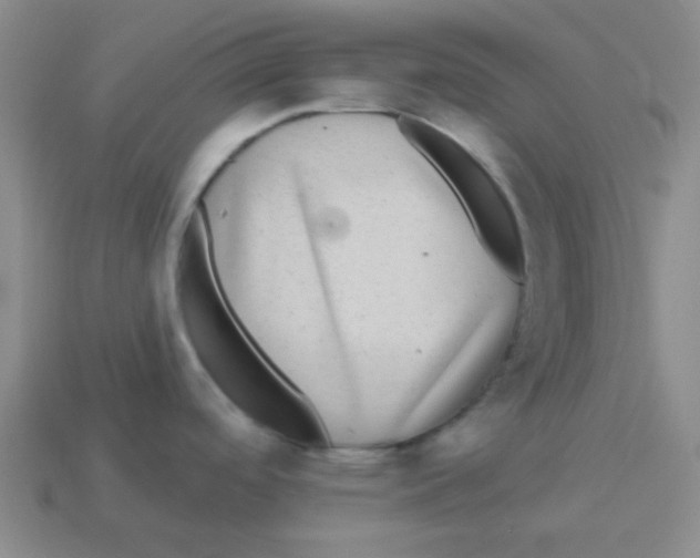 X0000113881488200910221345