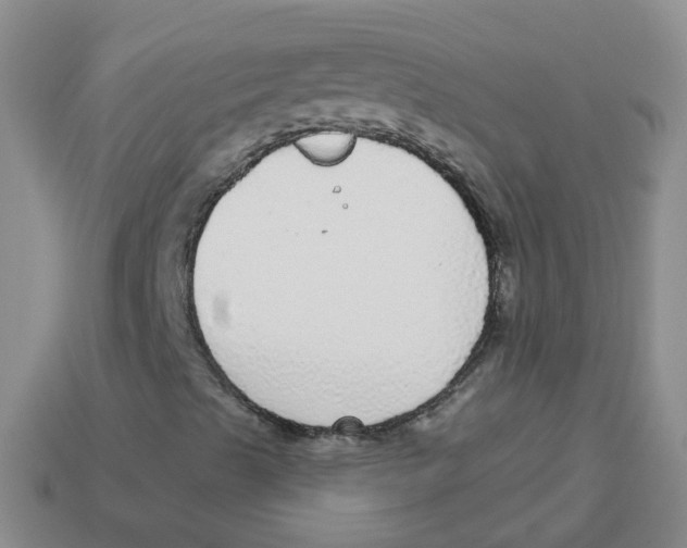 X0000113881489200910221344