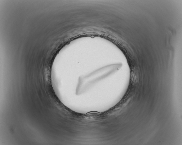 X0000113881490200910221344