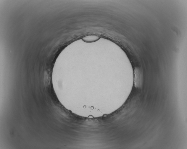 X0000113881491200910221344