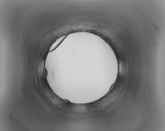 X0000113881492200910221344