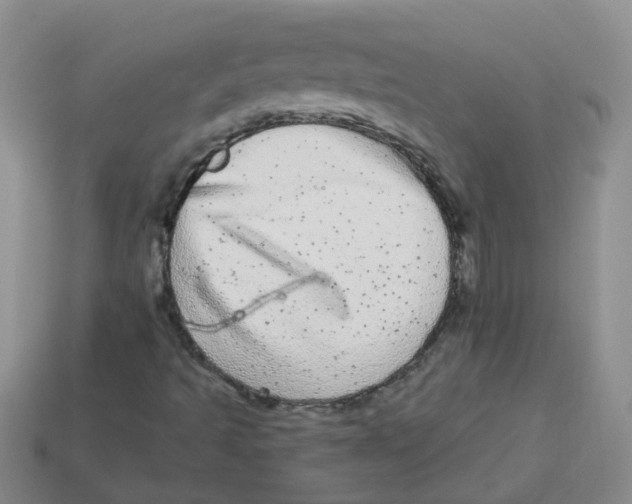 X0000113881493200910221344