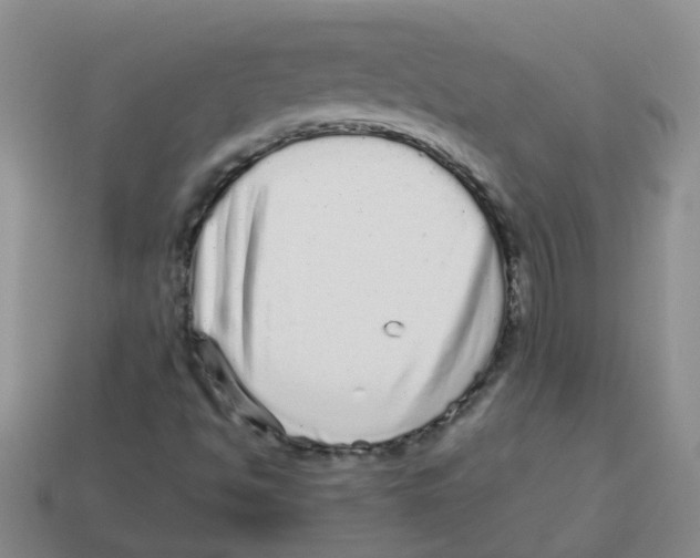 X0000113881494200910221344