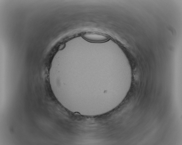 X0000113881495200910221344