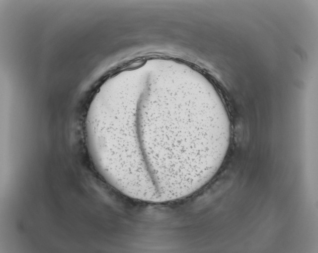 X0000113881496200910221344