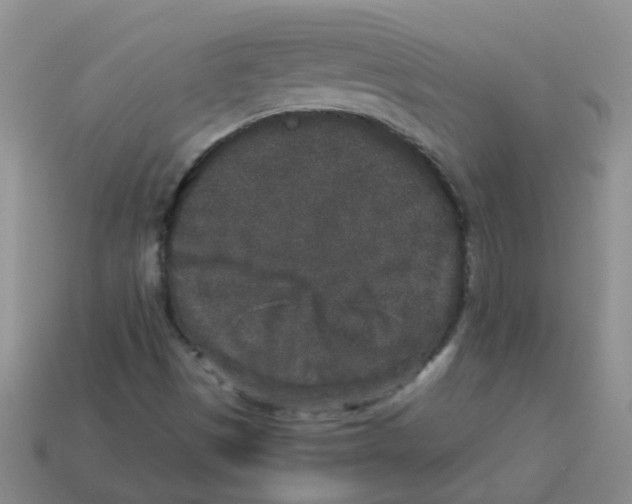 X0000113881497200910221344