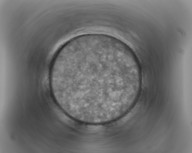 X0000113881498200910221344