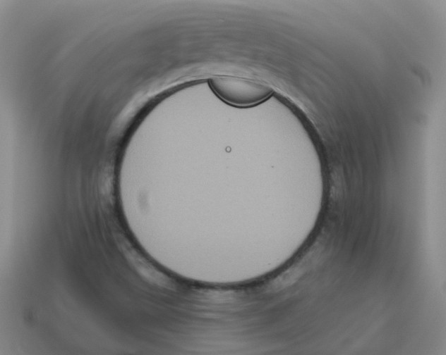 X0000113881499200910221345