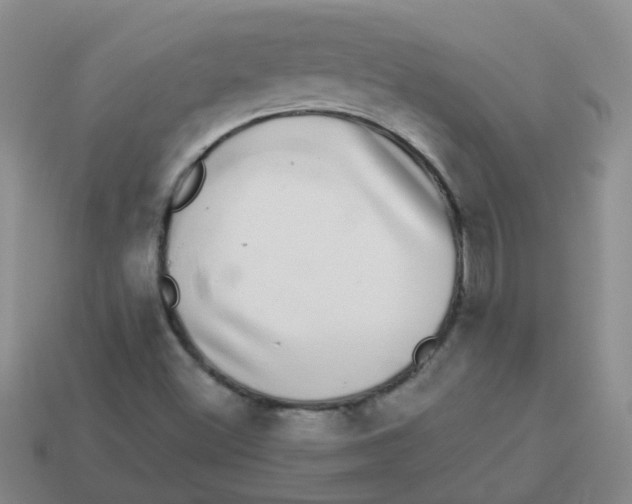 X0000113881500200910221345