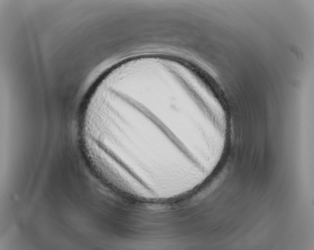 X0000113881501200910221345