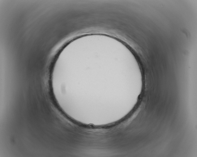 X0000113881502200910221345