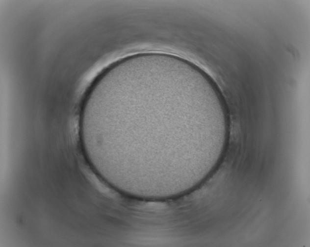 X0000113881503200910221345