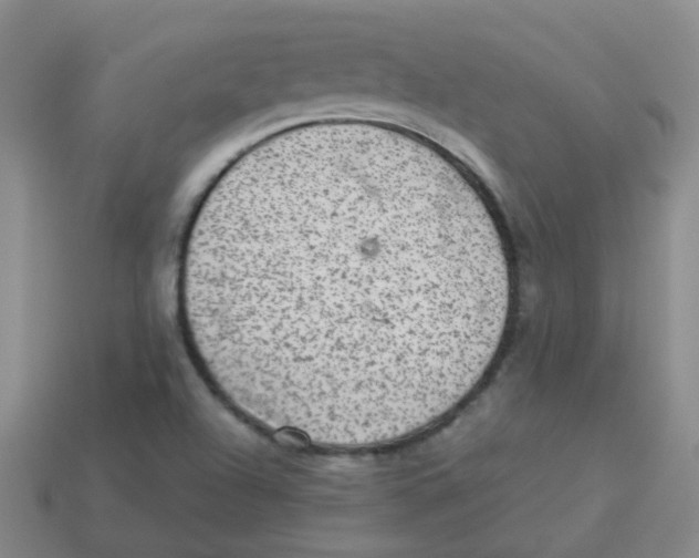 X0000113881504200910221345