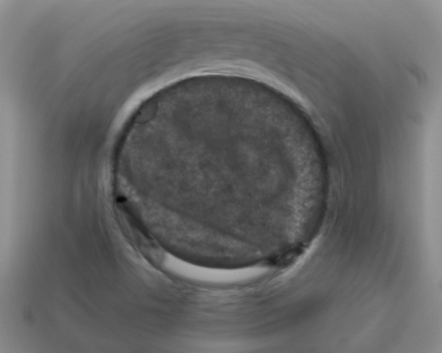 X0000113881506200910221345