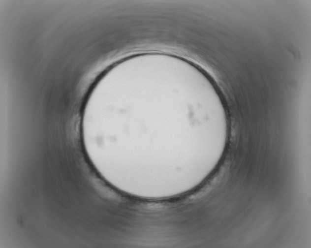 X0000113881507200910221345