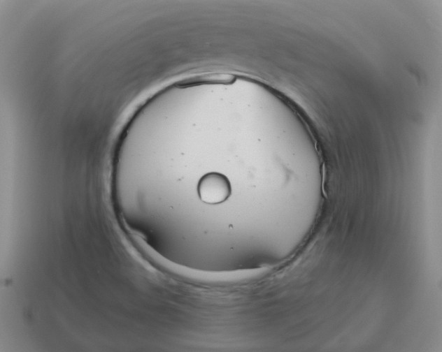 X0000113881508200910221345