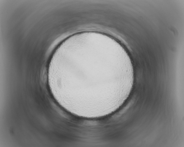 X0000113881509200910221345