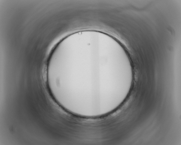 X0000113881510200910221345