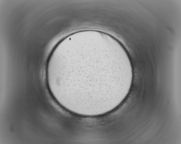 X0000113881511200910221345