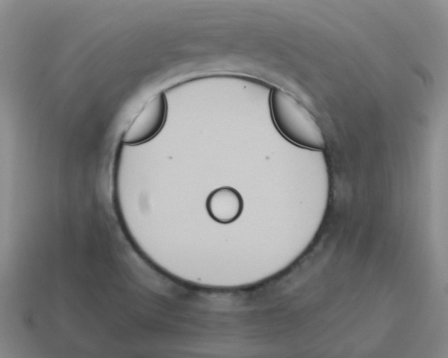 X0000113881512200910221345