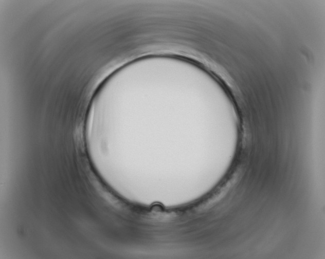 X0000113881513200910221345